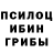 Псилоцибиновые грибы Psilocybine cubensis Fenex !