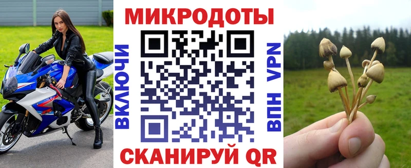 Псилоцибиновые грибы GOLDEN TEACHER  Рудня 